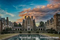 MIT生物專業研究什么？