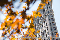 祝賀！托普仕X同學斬獲美國藤校CS錄取2枚！