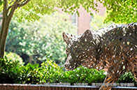 英國金融碩士一年要多少錢？