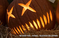 加拿大商學院本科畢業去向怎樣？