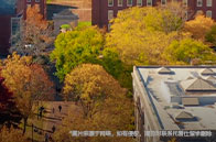 麥吉爾大學人文社科學院怎么樣？