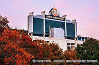 英國大學電力電子工程專業排名（世界/英國）