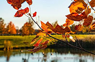 2024世界影響力排名加拿大高校獲佳績