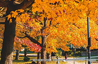 愛丁堡大學(xué)高性能計(jì)算與數(shù)據(jù)科學(xué)理學(xué)碩士怎么樣？