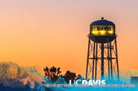 2024世界影響力排名加拿大高校獲佳績