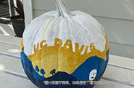 新加坡國立大學本科學費多少錢？