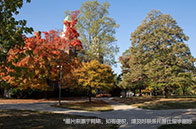 加拿大BC省新增留學生友好移民項目出爐，明年上線！