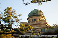 NTU商學院熱門碩士項目有哪些？