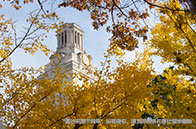 新加坡公立大學宿舍費上調，TA暴漲12%