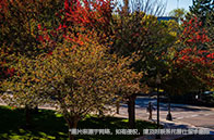 南洋理工大學(xué)國(guó)際建筑管理碩士怎么樣？