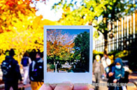 約克大學專業排名最新情況（英國/全球)