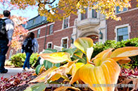 NUS EBAC項目錄取解析