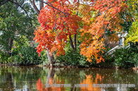 2024年英國大學英語語言學專業排名top20