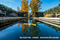 TOP15美本錄取下達！托普仕留學再獲客戶好評