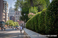 麥吉爾大學人文社科學院怎么樣？