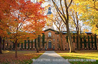 新加坡國立大學研究型項目招生人數統計