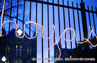 強(qiáng)勢(shì)院系|南洋理工大學(xué)CCEB學(xué)院