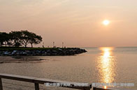 帝國(guó)理工學(xué)院公共衛(wèi)生碩士課程設(shè)置