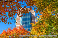 曼徹斯特大學(xué)電子電氣工程排名第幾？