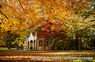 科普篇|多倫多大學申請流程